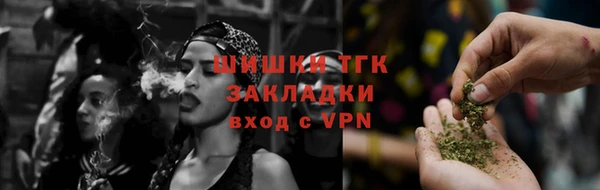 молекула духа Заводоуковск