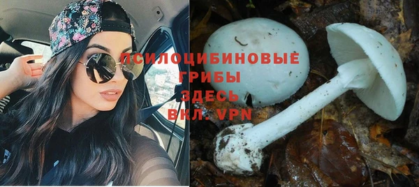 первитин Армянск