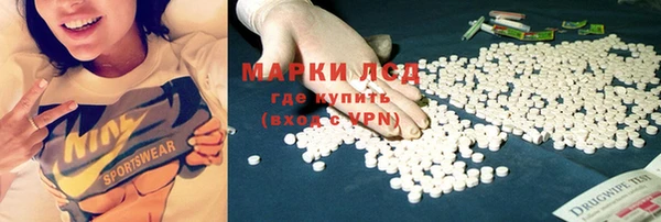 a pvp Аркадак