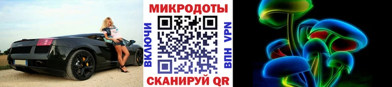 продажа наркотиков  Медынь  Галлюциногенные грибы Psilocybe 