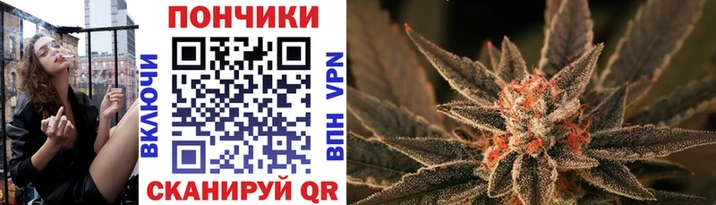 МАРИХУАНА планчик  купить  цена  Медынь 